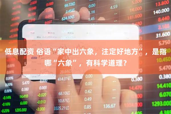 低息配资 俗语“家中出六象，注定好地方”，是指哪“六象”，有科学道理？