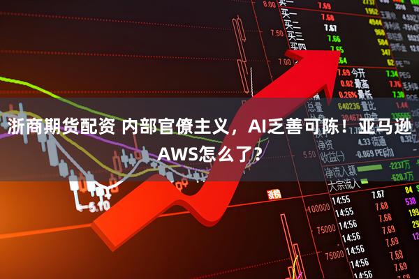 浙商期货配资 内部官僚主义，AI乏善可陈！亚马逊AWS怎么了？