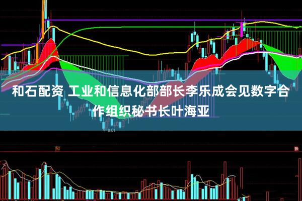 和石配资 工业和信息化部部长李乐成会见数字合作组织秘书长叶海亚