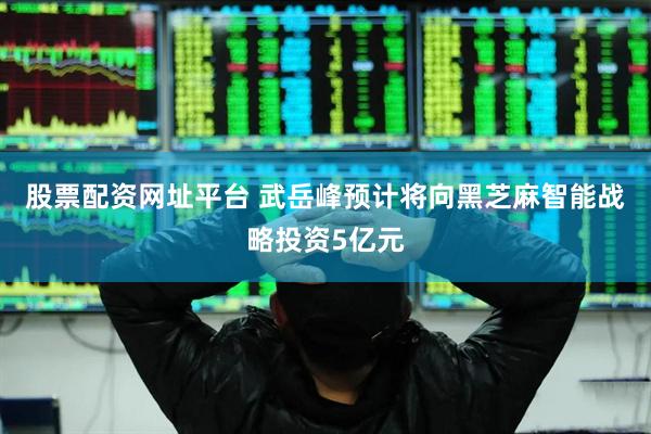 股票配资网址平台 武岳峰预计将向黑芝麻智能战略投资5亿元